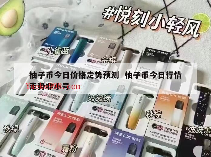 柚子币发行价格是多少,柚子币那年开盘的