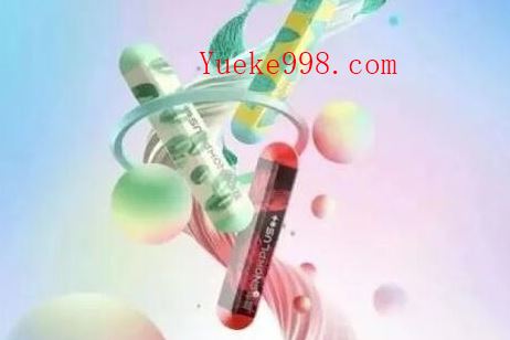 雪加大板砖一次性雾化电子烟价格,雪加SnowPlus灵动套装/雪加Lite